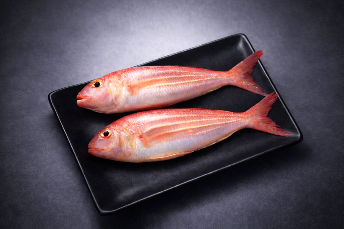 Live Viral Fish - Image 2