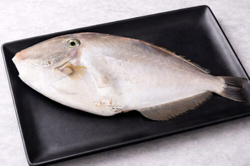 Vanjiram Slices / King Fish Slices